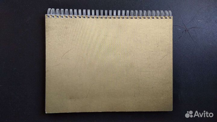 Тетрадь золотая 24*19 см, 48 листов, пружина