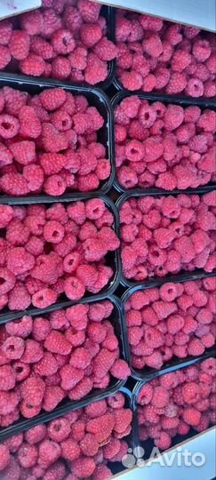 Малина Vip с доставкой крупная сладкая