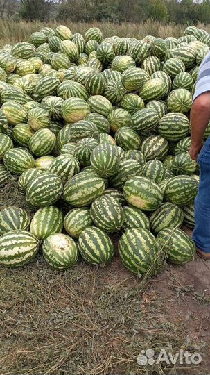 Продукты питания