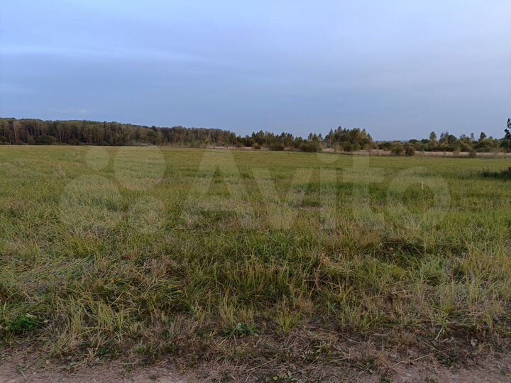 Участок 3,94 га (СНТ, ДНП)