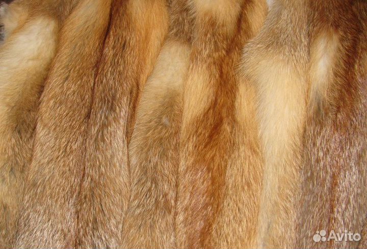 Шкуры лиса рыжая, мех лисица огневка