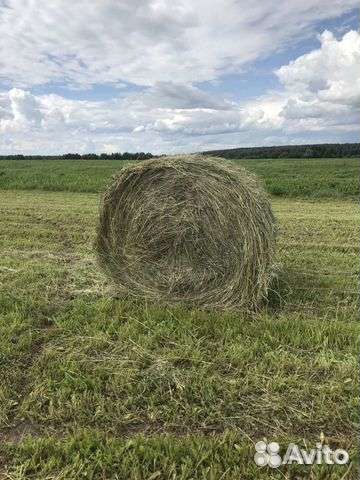 Сено с доставкой