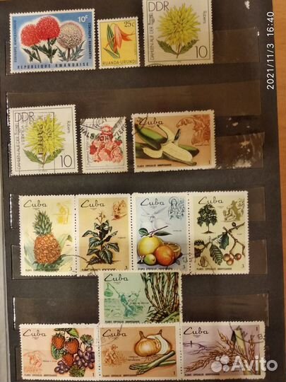 Марки по теме Флора