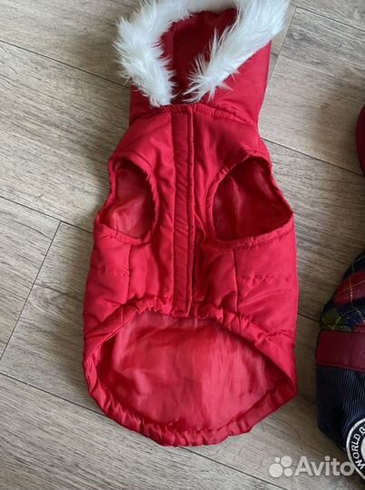 Одежда для собак