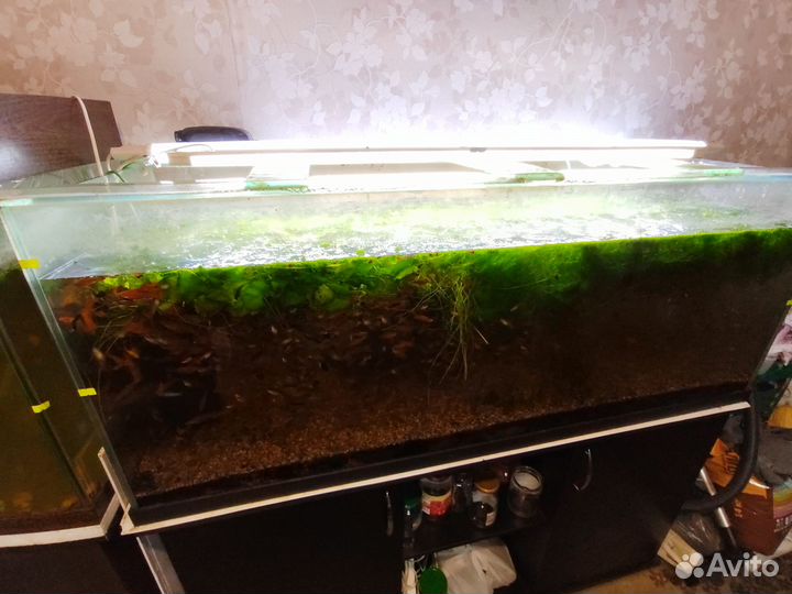 Аквариумы 100-400л с гарнитурой
