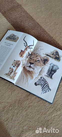 Книга схем по вышивке крестом