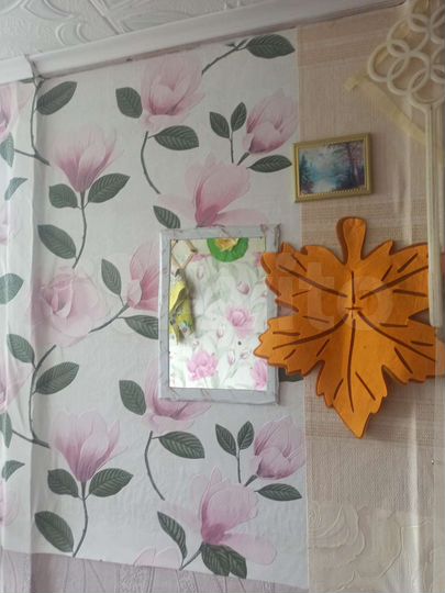 Дом 20 м² на участке 4,2 сот.