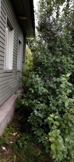 Дом 40 м² на участке 8,7 сот.