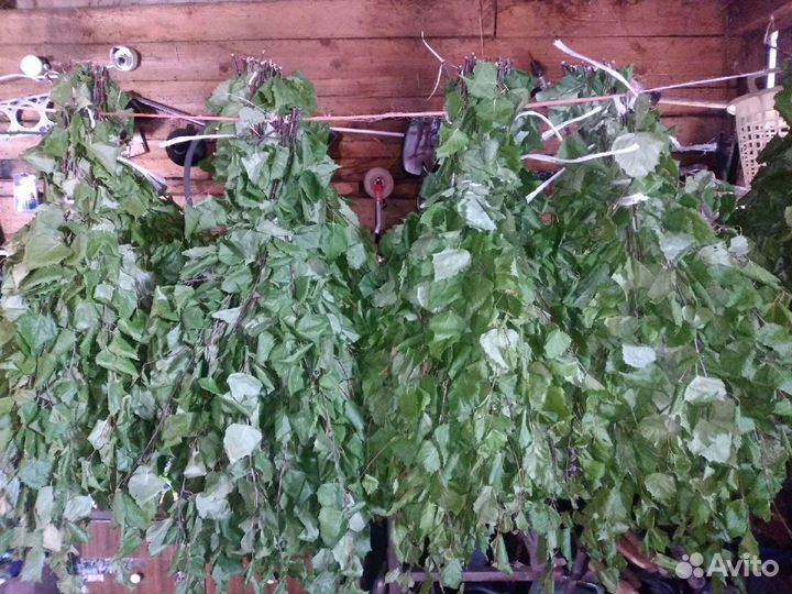 Веники для бани