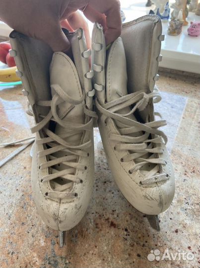 Коньки Edea preludio 215