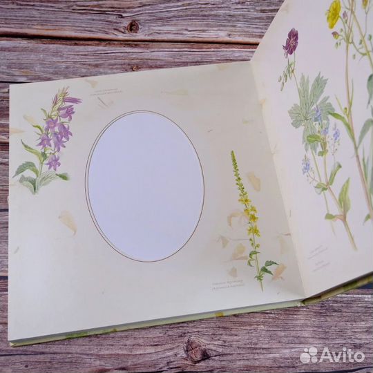 Дневник Эдвардианской Леди фотоальбом