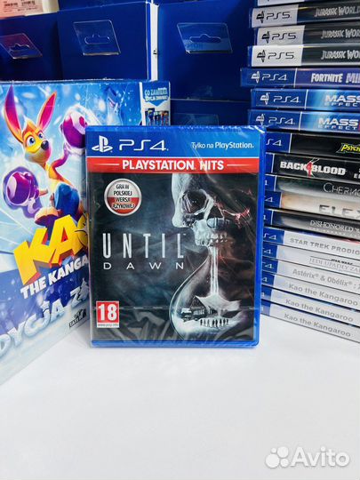 PS4 Дожить до Рассвета