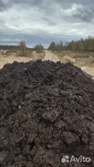 Земля чернозем