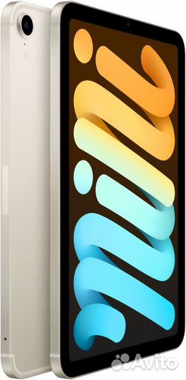 Apple iPad mini (2021) Wi-Fi + Cellular 256 Gb St