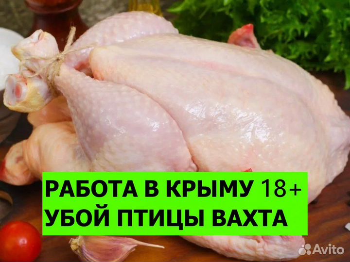 Работа вахтой в Крыму / Убой птицы 18+