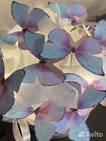 Бабочки в коробке подарок девушке маме