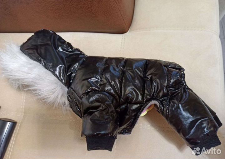 Комбинезон для собаки