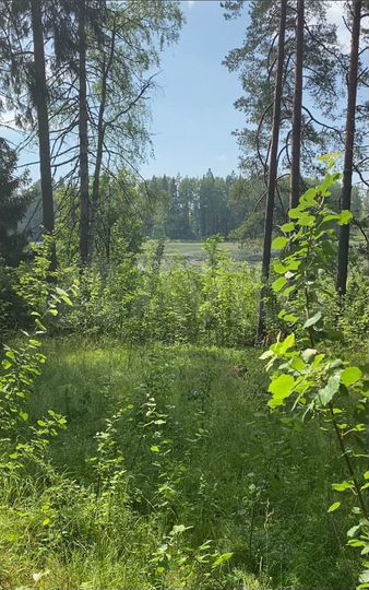 Участок 10 сот. (ИЖС)