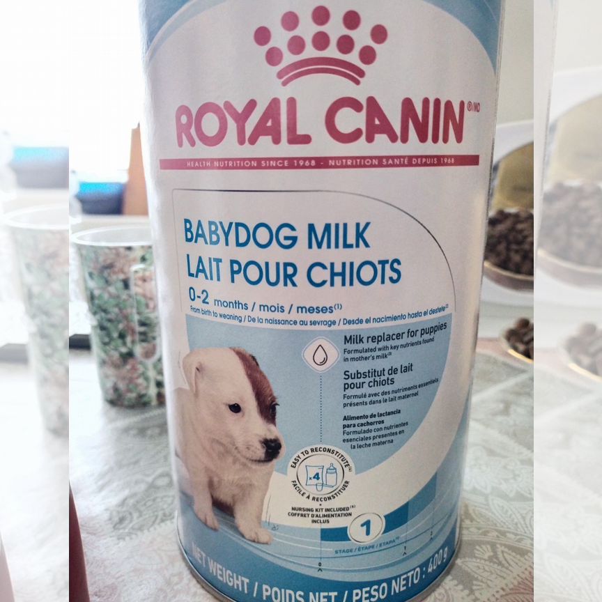 Молочная смесь для щенков royal canin