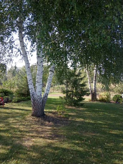 Дача 60 м² на участке 16 сот.