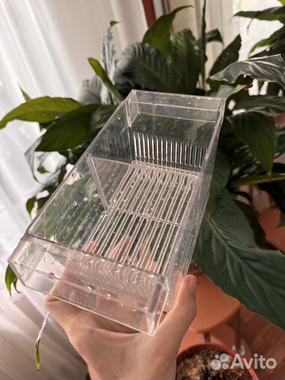 Отсадник для мальков