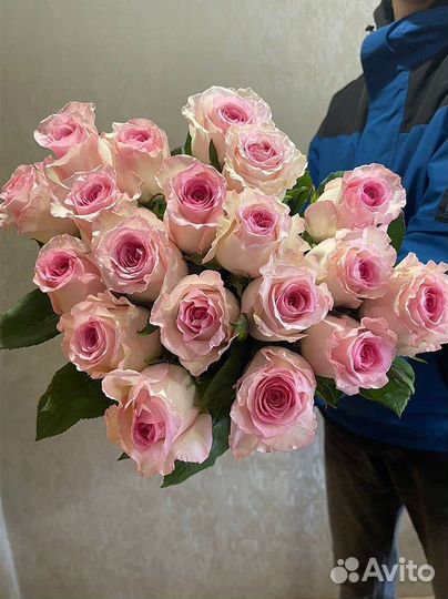 Цветы розы эквадор