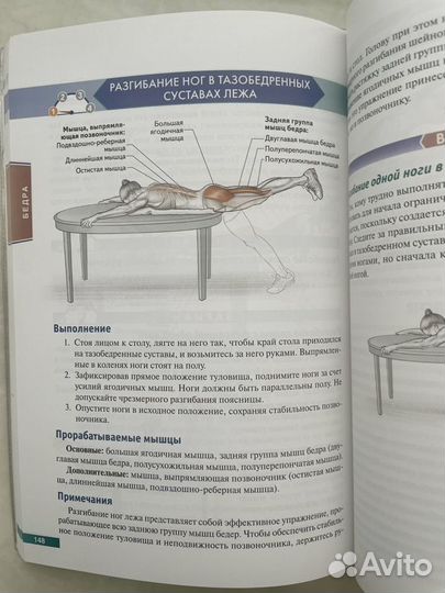 Анатомия силовых упражнений / тренировок