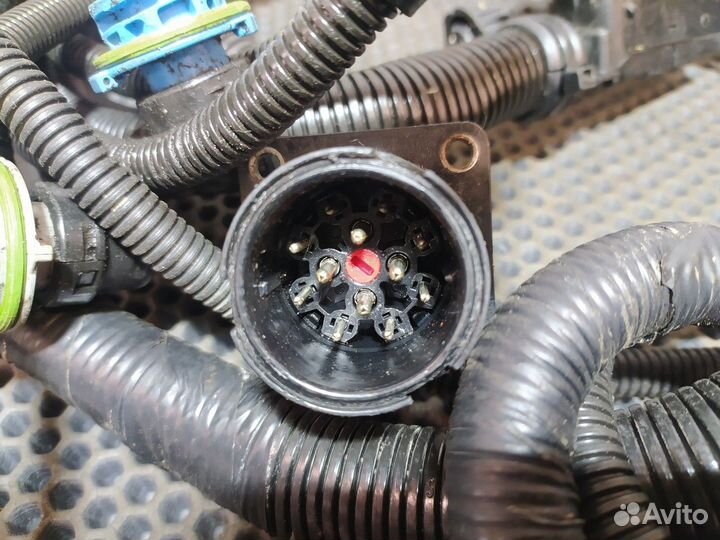 Проводка модуля AdBlue Renault Premium