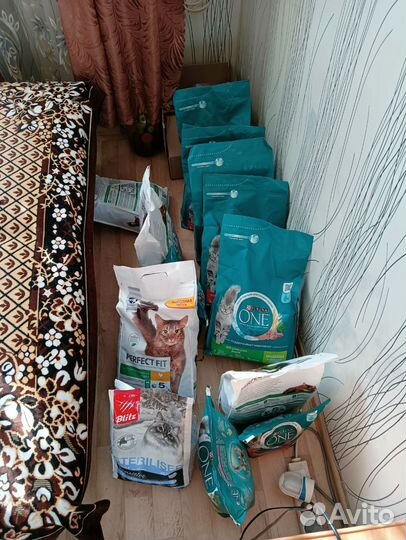 Сухой корм для кошек Purina one