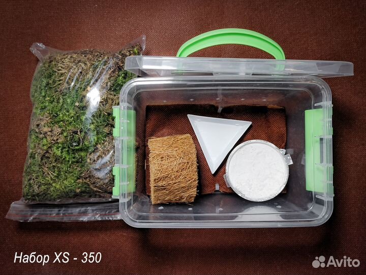 Террариумы для ахатин улиток, наполнение