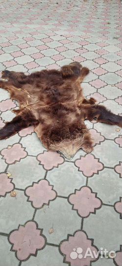 Имитация медвежьей шкуры