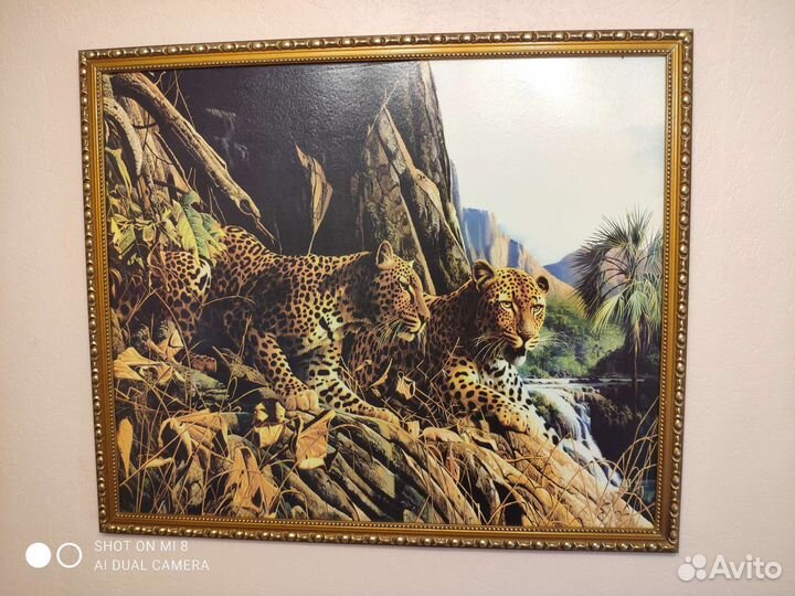 Картина семья кошачьих леопардов