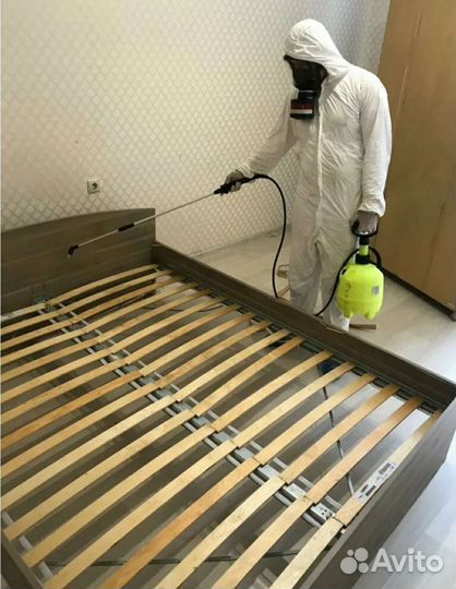 Дезинфекция от тараканов клопов