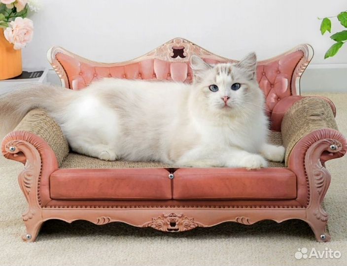 Когтеточка для кошек новая