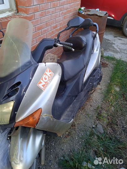 Максискутер