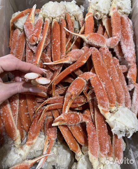 Краб Стригун, морепродукты