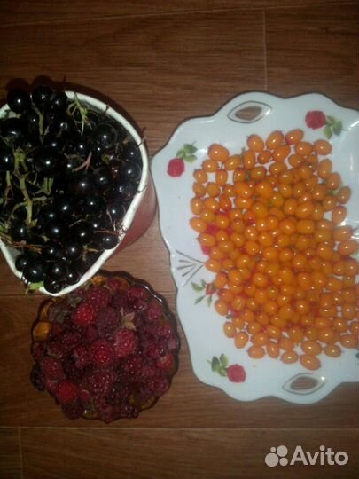 Облепиха боярышник вишня малина ремонтантная