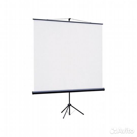 Проектор Экран аренда