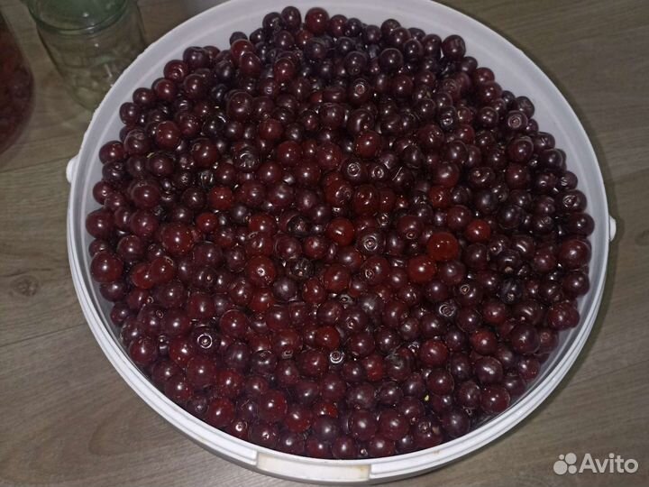 Вишня ягода свежая