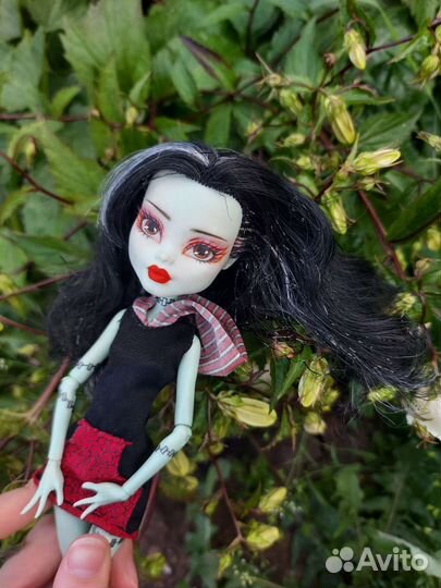 Монстр хай ооак