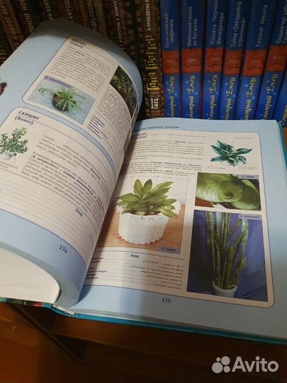 Шикарная книга с иллюстрациями о комнатных растени