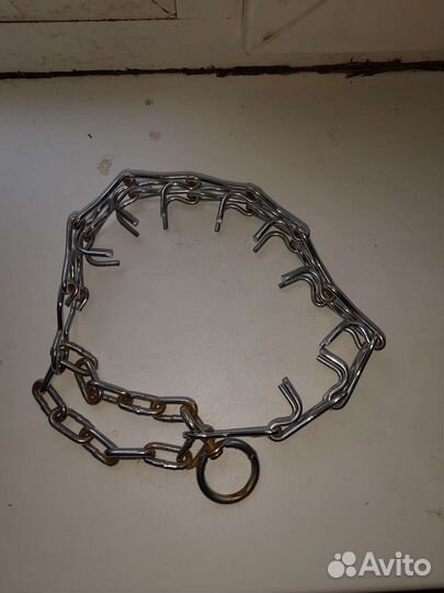 Строгий ошейник для собак