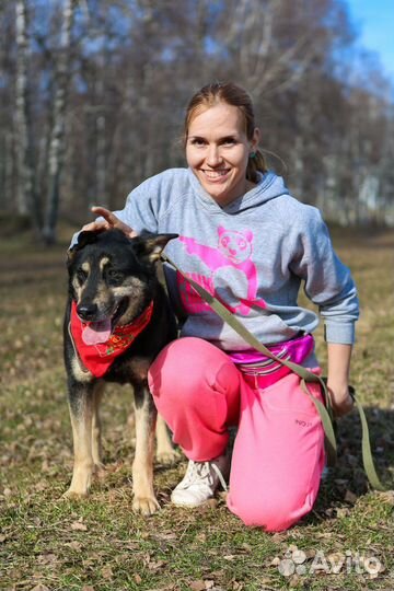 Красавчик Макс ищет семью