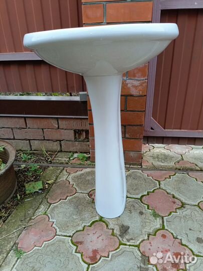 Раковина тюльпан и другие