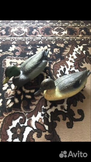 Чучела уток