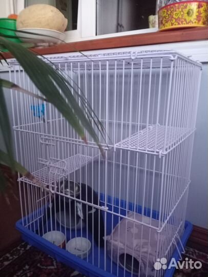 Клетка для крыс