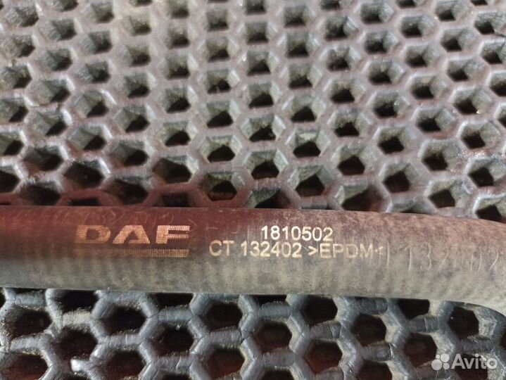 Патрубок радиатора Daf XF106