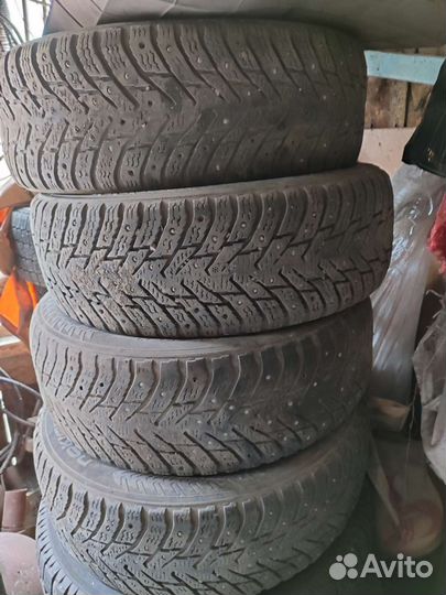 Nokian Tyres Hakkapeliitta 8 175/75 R14