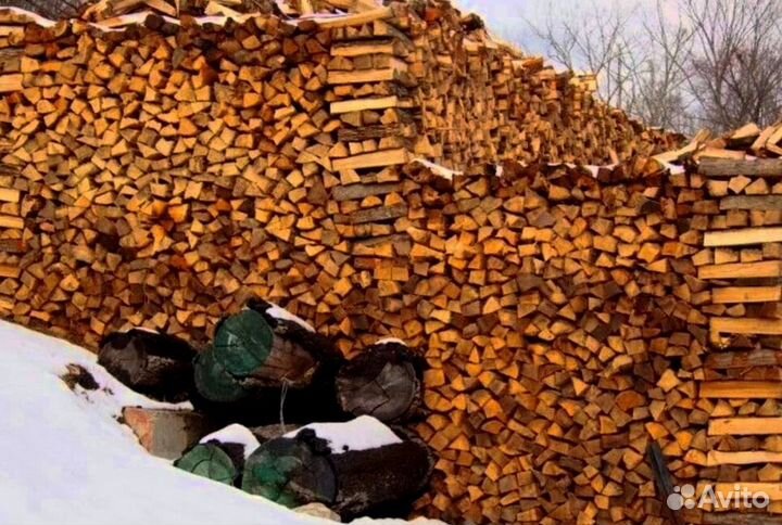 Дрова осина