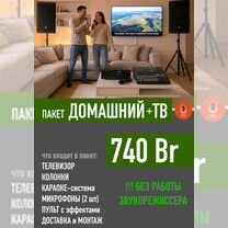 Выездное караоке в Борисове, Борисов